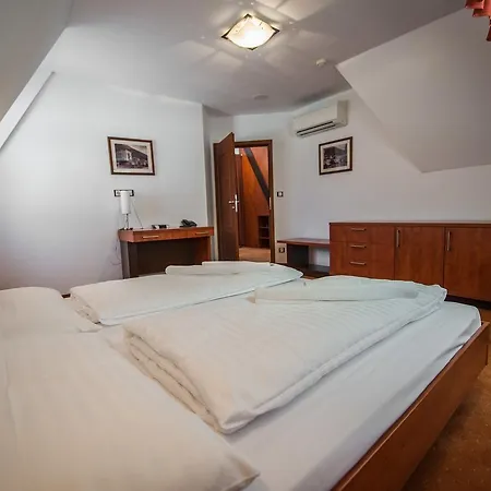 Garni Praha 3* Trenčianské Teplice