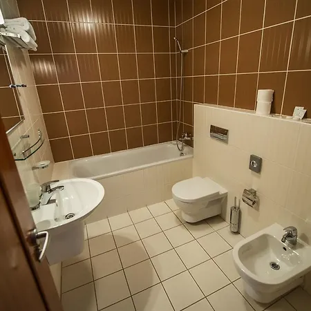 Garni Praha 3*